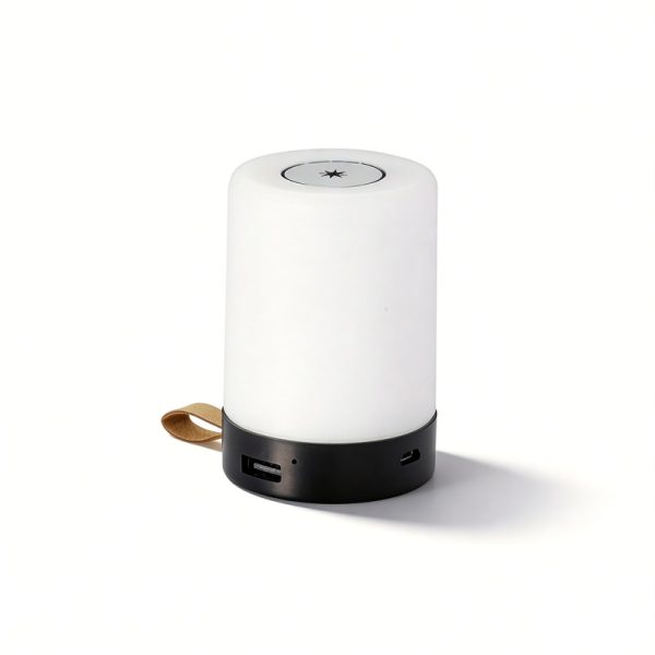 Altoparlante Bluetooth WS-D06 con altoparlante wireless multifunzionale