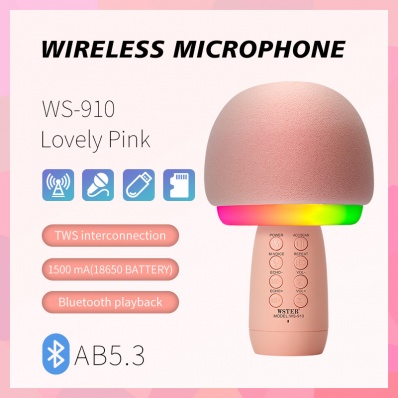 WSTER WS-910 Karaoke-Mikrofon