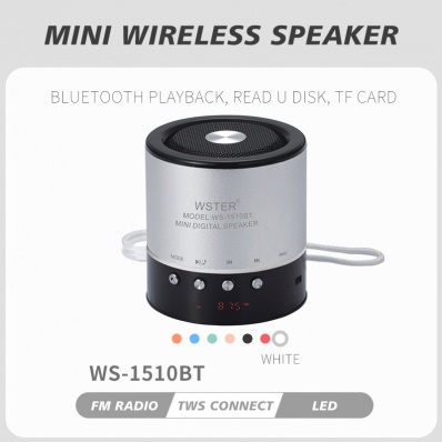 WSTER WS-1510BT Mini-Bluetooth-Lautsprecher