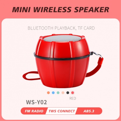 WSTER WS-Y02 mini bluetooth speaker