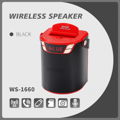 WSTER WS-1660 bluetooth speaker