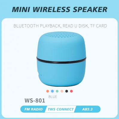 WSTER WS-801 mini bluetooth speaker
