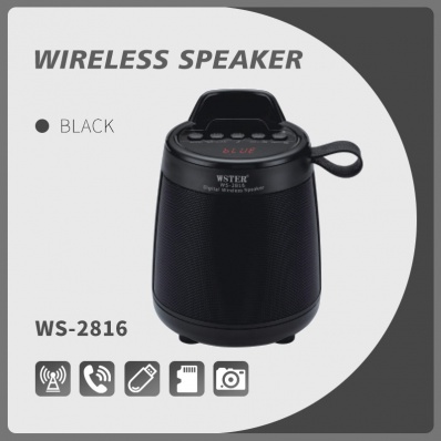 WSTER WS-2816 bluetooth speaker