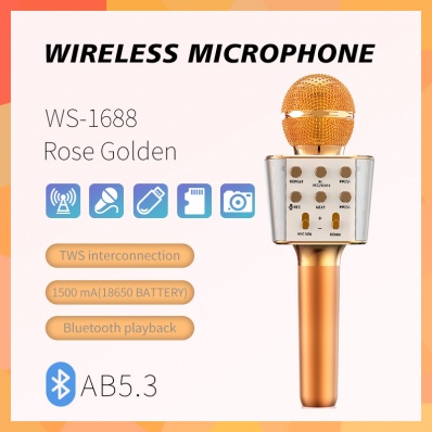 Microfone karaok&ecirc; WSTER WS-1688
