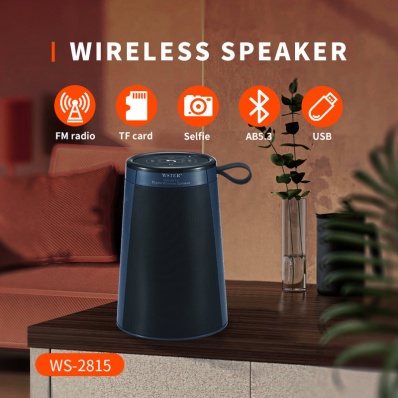 WSTER WS-2815 bluetooth speaker