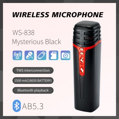 micro karaok&eacute; WSTER WS-838