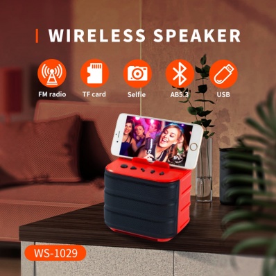 WSTER WS-1029 altoparlante bluetooth