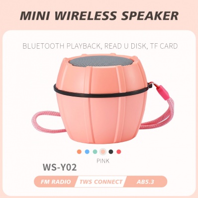 WSTER WS-Y02 mini bluetooth speaker