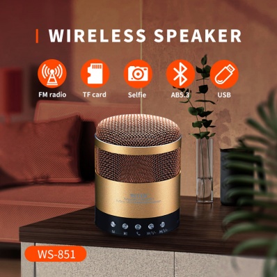WSTER WS-851 Bluetooth-Lautsprecher