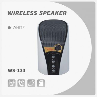 WSTER WS-133 altoparlante bluetooth