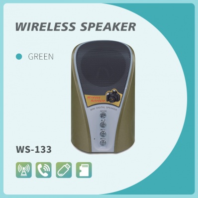 WSTER WS-133 altoparlante bluetooth