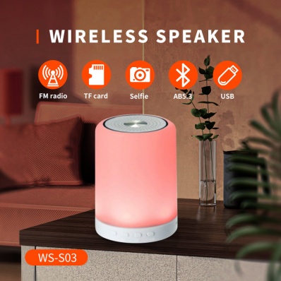 مكبر صوت WSTER WS-S03 bluetooth