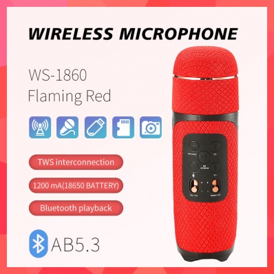 microfono karaoke WSTER WS-1860