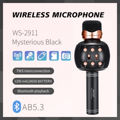 WSTER WS-2911 microfono karaoke