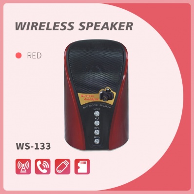 WSTER WS-133 altoparlante bluetooth