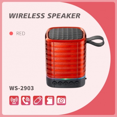 WSTER WS-2903 bluetooth speaker