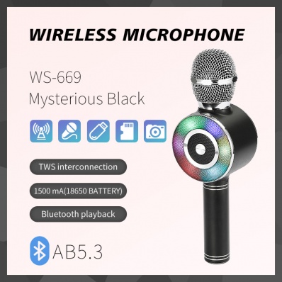 WSTER WS-669 microfono karaoke