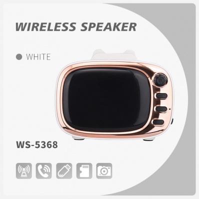 WSTER WS-5368 bluetooth speaker