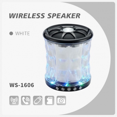 WSTER WS-1606 bluetooth speaker