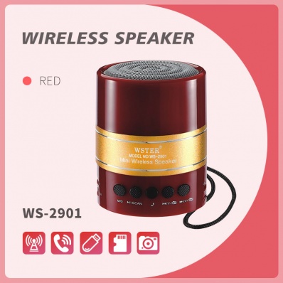 WSTER WS-2901 bluetooth speaker
