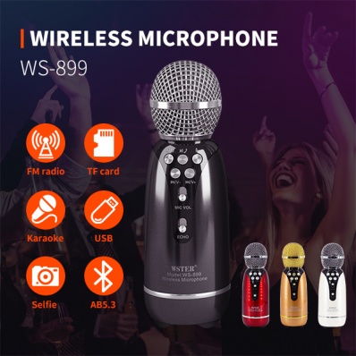 microphone karaok&eacute; WSTER WS-899