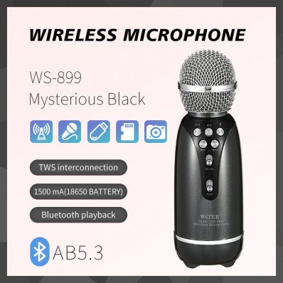 microphone karaok&eacute; WSTER WS-899