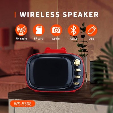 WSTER WS-5368 bluetooth speaker