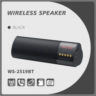 WSTER WS-2519BT bluetooth speaker