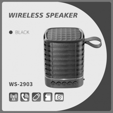 WSTER WS-2903 bluetooth speaker