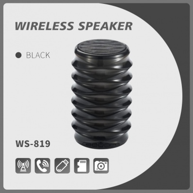 Caixa de som bluetooth WSTER WS-819