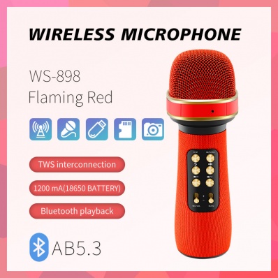 Micro karaok&eacute; WSTER WS-898