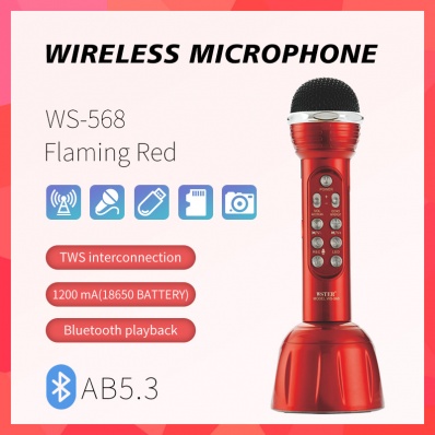 microfone karaok&ecirc; WSTER WS-568
