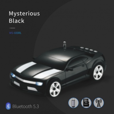 WSTER WS-600RL car model bluetooth speaker