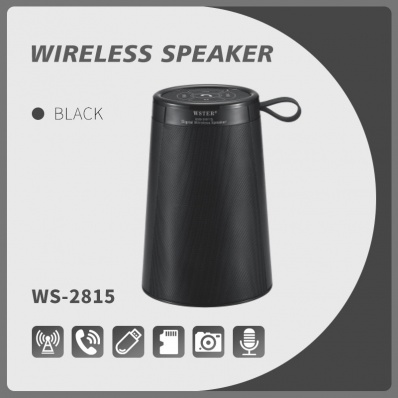 WSTER WS-2815 bluetooth speaker