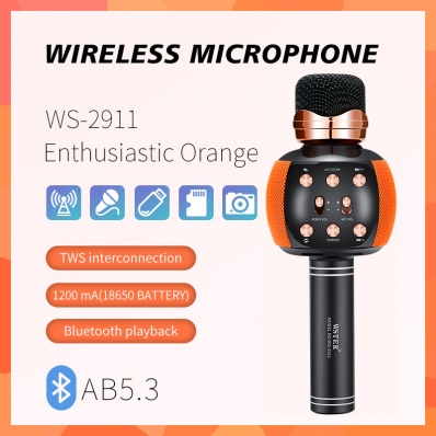 WSTER WS-2911 microfono karaoke