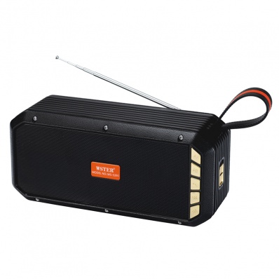 مكبر صوت WSTER WS-5390 بتقنية البلوتوث بالطاقة الشمسية