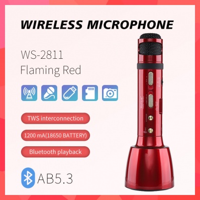 WSTER WS-2811 カラオケマイク