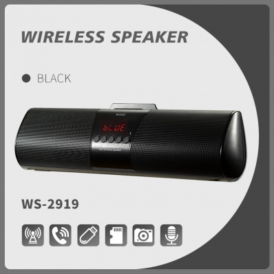 WSTER WS-2919 bluetooth speaker