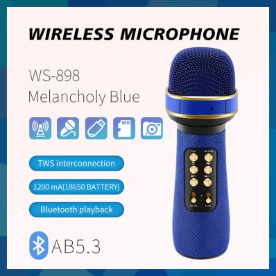 Micro karaok&eacute; WSTER WS-898