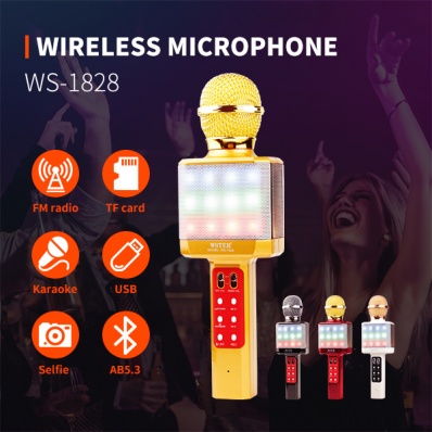 Microfone karaok&ecirc; WSTER WS-1828