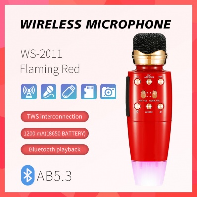 WSTER WS-2011 microfono karaoke