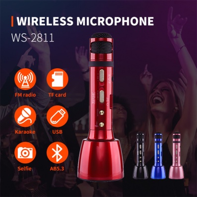 WSTER WS-2811 カラオケマイク