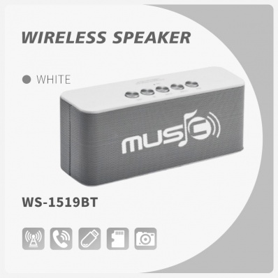 WSTER WS-1519BT bluetooth speaker
