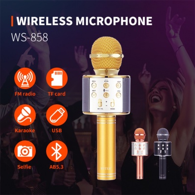 Microfono karaoke WSTER WS-858