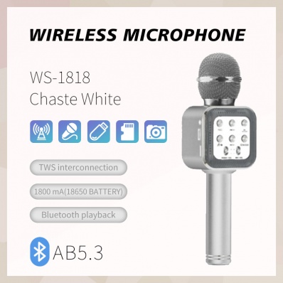 microfone karaok&ecirc; WSTER WS-1818