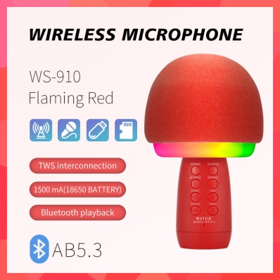 WSTER WS-910 Karaoke-Mikrofon