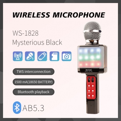 Microfone karaok&ecirc; WSTER WS-1828