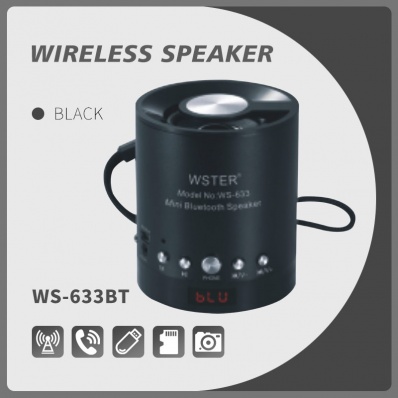 مكبر صوت بلوتوث WSTER WS-633BT