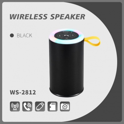 WSTER WS-2812 bluetooth speaker
