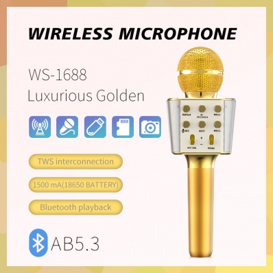 Microfone karaok&ecirc; WSTER WS-1688